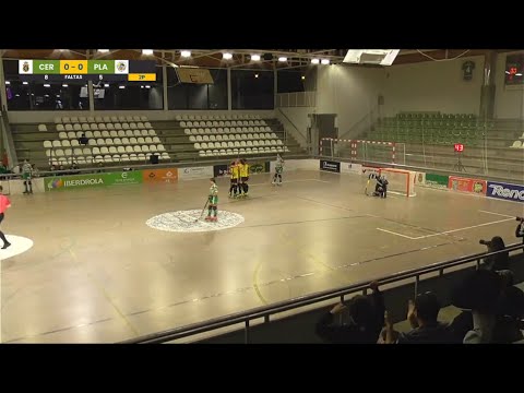 Resumen Cerdanyola CH Feníe Energía 0-1 Generali HC Palau de Plegamans