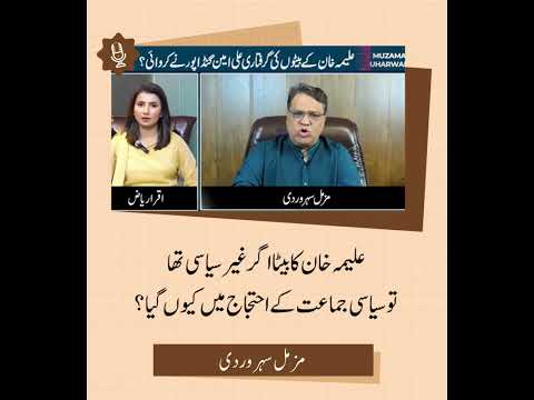 Aleema Khan’s Kids: ‘Apolitical’ But Protesting? PTI’s Hypocrisy Exposed | PMLN Vision