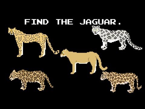 Find the Animals - Cats, Dogs, & More - The Kids' Picture Show (Fun & Educational Learning Video)