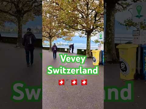 Exploring Vevey Town, Switzerland: A Hidden Gem on Lake Geneva 🇨🇭