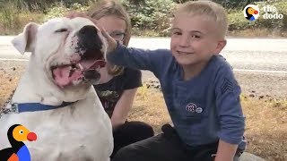Little boy makes videos to help dogs find homes