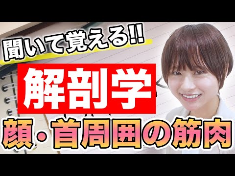 医学科 【解剖学】覚えにくい解剖学の顔・首周囲の筋肉について(医学生・医療系学生向け)