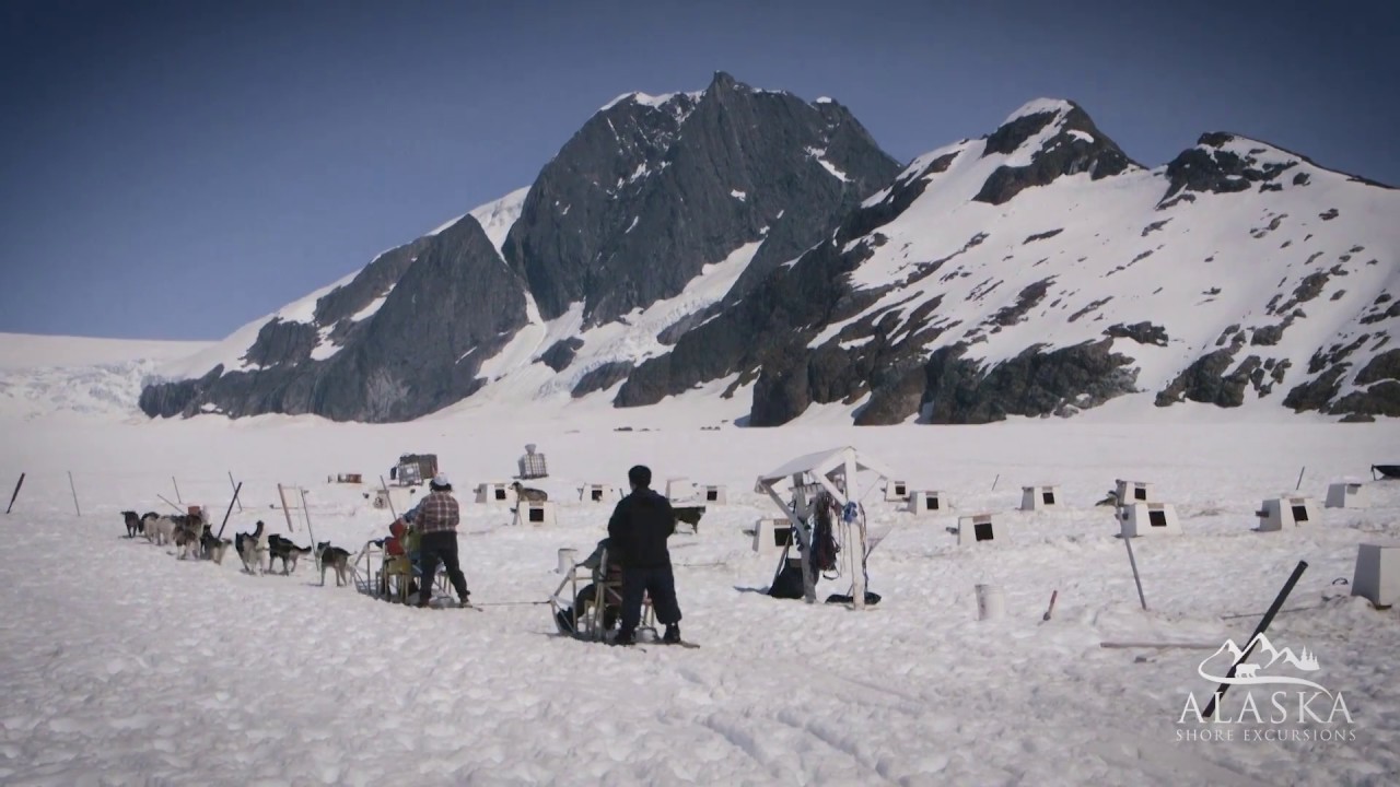 Glacier Dogsled Tour via Helicopter