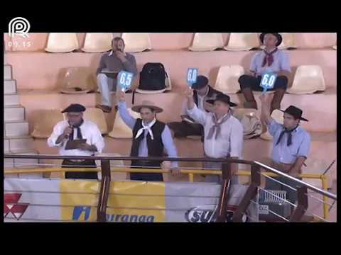 Classificatória Região SC/PR – 6° lugar fêmeas – Zilda dos Castanheiros (Prova: Mangueira II)