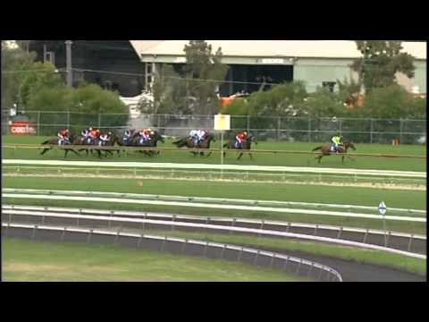2010 - Inglis Queen of the Turf Stakes - Typhoon Tracy