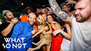 What So Not - 7 House Parties, 1 Night (The Perfect Storm)