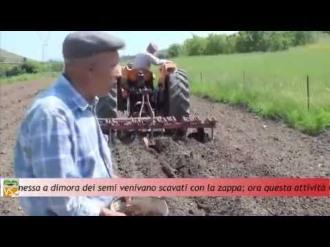 Segno di papillomas di trattamento di parassiti Come trattare vermi al bambino di 8 anni