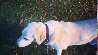 My Ingredients To Happiness!