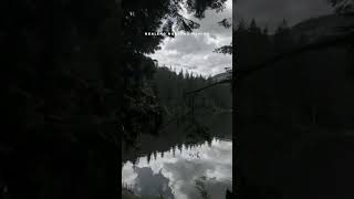 Download lagu story'WA DI ENGGO PARAN||Ojo nguber welase #storywa #shorts mp3