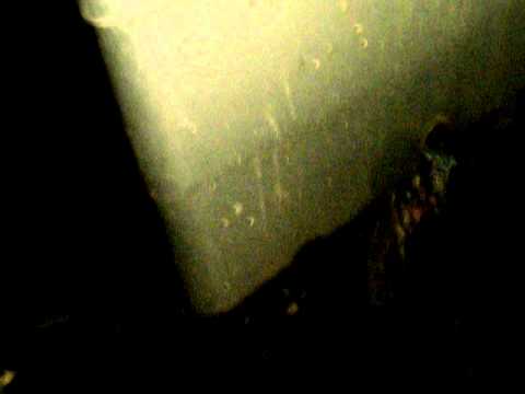 show me the rats garbage man..