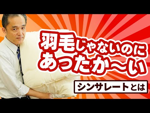 冬に鳥に餌を与えるにはどうすればよいですか？羽毛をより良くケアするために避けるべき間違い  庭園