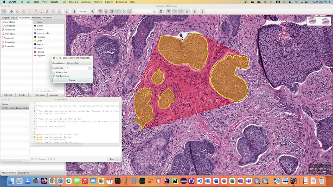 QuPath script - Create surrounding annotation