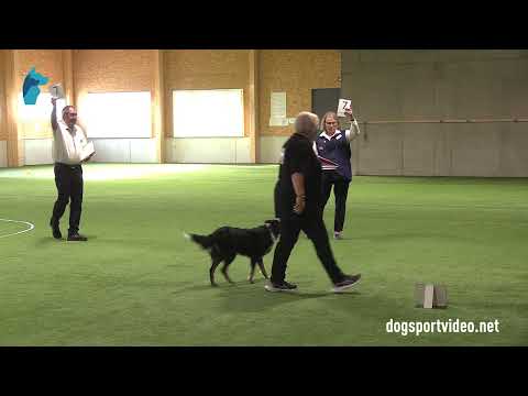 Qualification - Anette Weidemann + Fearnog Aylin/Border Collie - Germany