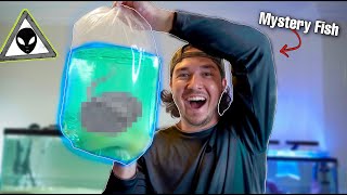 WE BOUGHT MYSTERY FISH BOX OFF The INTERNET!