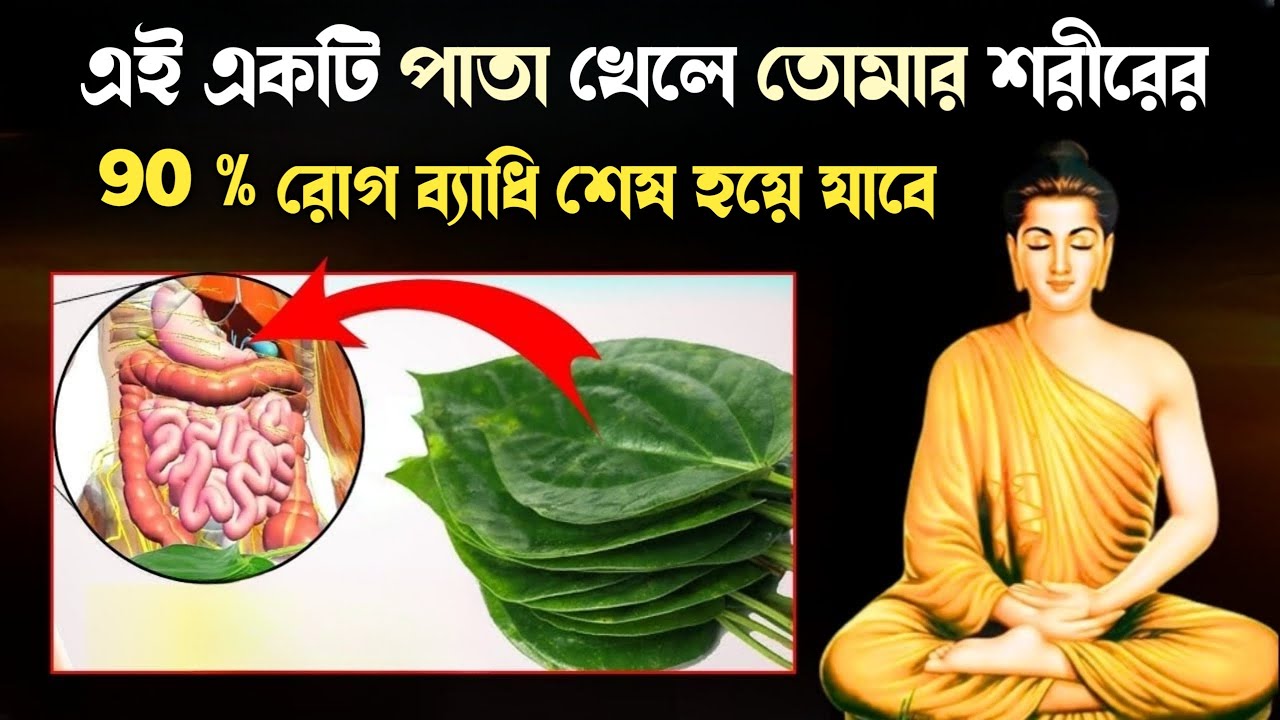 This one leaf will cure 90% of diseases | goutam buddha moral story | ayurvedic treatment |