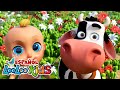 La Vaca Lola Los Pollitos Y Las Mejores Canciones Infantiles LooLoo