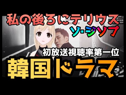【韓国ドラマ】２年ぶりのソ・ジソプさん 私の後ろにテリウス（내 뒤에 테리우스）の紹介～チョン・インソンさん