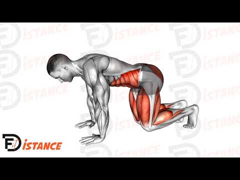 Exercice Planche de l'ours (bear plank)