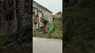 Download lagu misteri dua dunia | langit bumi bersaksi | #short mp3