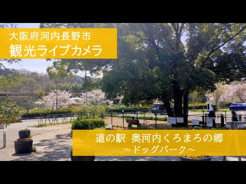 くろまろの郷 ドッグパークのライブカメラ
