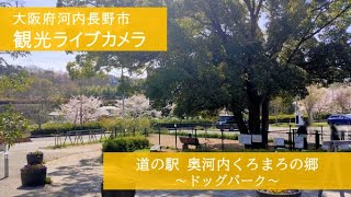 道の駅奥河内くろまろの郷（ドッグパーク） live webcam