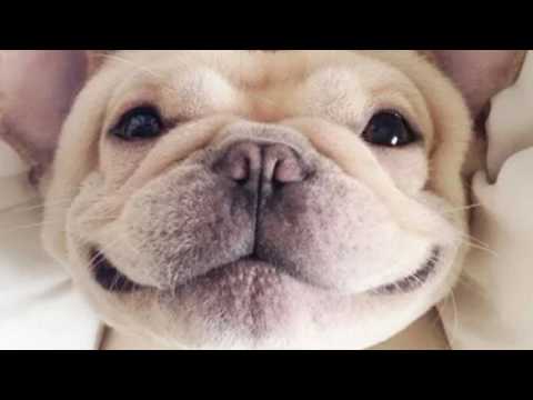 Ivan Lins e Maurício Manieri basta ouvir seu coração