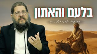 בלעם שותק והאתון מדברת, איך דבר כזה קורה?! שיעור מטלטל על פרשת בלק • הרב שניאור אשכנזי (הרב שניאור אשכנזי) - התמונה מוצגת ישירות מתוך אתר האינטרנט יוטיוב. זכויות היוצרים בתמונה שייכות ליוצרה. קישור קרדיט למקור התוכן נמצא בתוך דף הסרטון בלעם שותק והאתון מדברת, איך דבר כזה קורה?! שיעור מטלטל על פרשת בלק • הרב שניאור אשכנזי (הרב שניאור אשכנזי) - התמונה מוצגת ישירות מתוך אתר האינטרנט יוטיוב. זכויות היוצרים בתמונה שייכות ליוצרה. קישור קרדיט למקור התוכן נמצא בתוך דף הסרטון