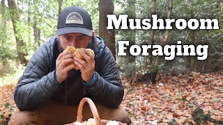 Foraging Mushrooms in the UK - Hedgehog Mushroom Cook up in the Woods - On the NEW Eskute E-bike