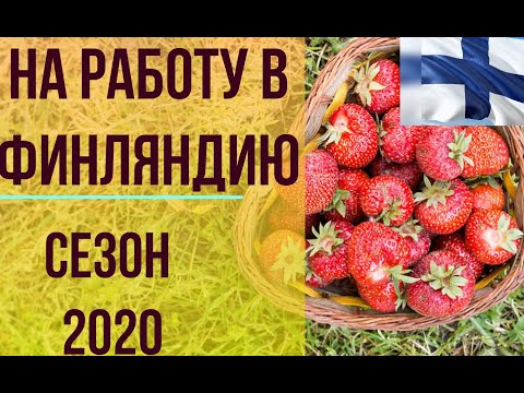 Татьяна.На сезонную работу в Финляндию. 2020 год. Что нужно для этого знать.