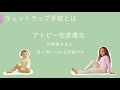 動画を再生