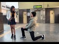 triggered insaan propose a girl funny 😂(austin joker)#short#funny#video#fanedit@triggeredinsaan