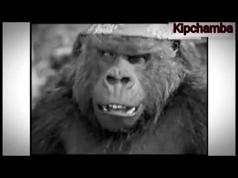 Sukuguu Kap Morris ~ Morris Arap Mainek