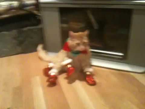 Cat Wearing Boots