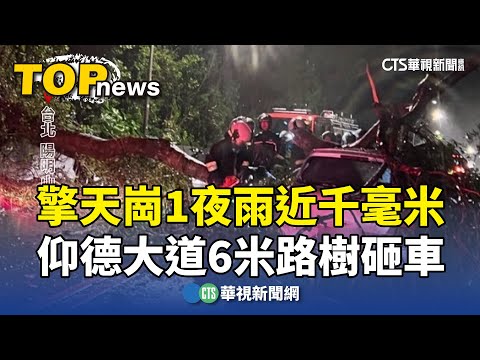 擎天崗1夜雨近千毫米　仰德大道6米路樹砸車