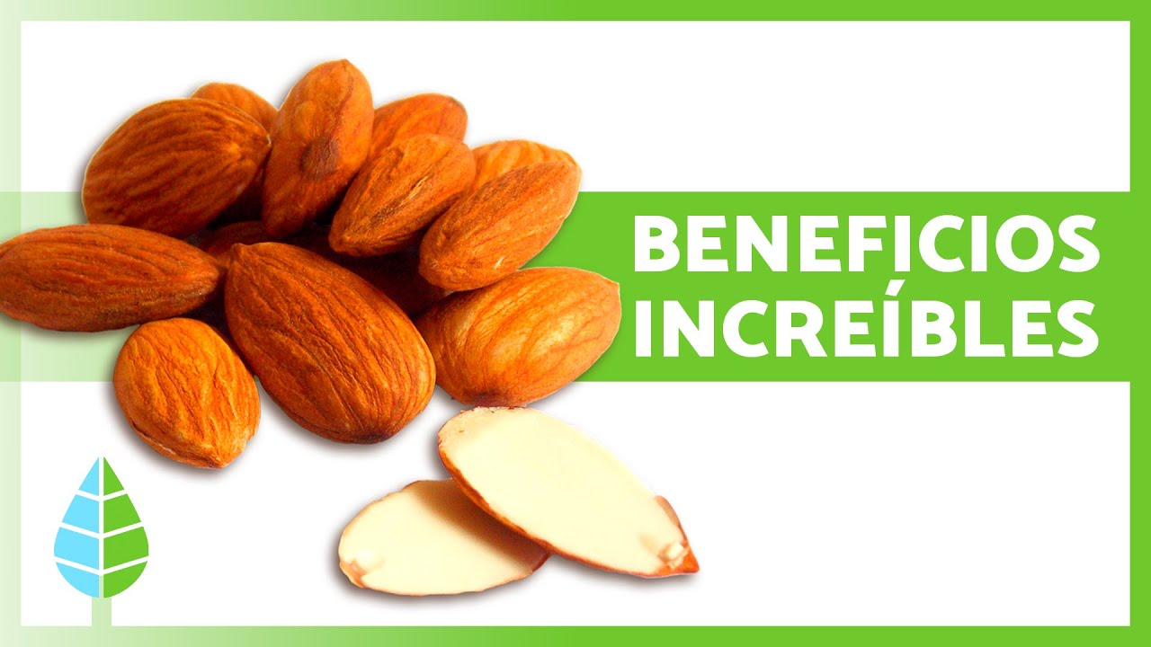 HEALTH BENEFITS OF ALMONDS ✅ (Properties, What They Are Used For, and Contraindications)