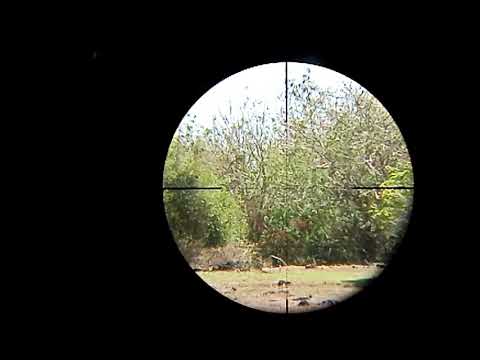 200 yards! Target shooting pcp airgun!! Pushing the limits!!