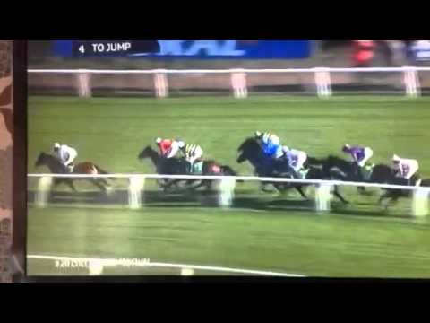 2015 champion hurdle faugheen!