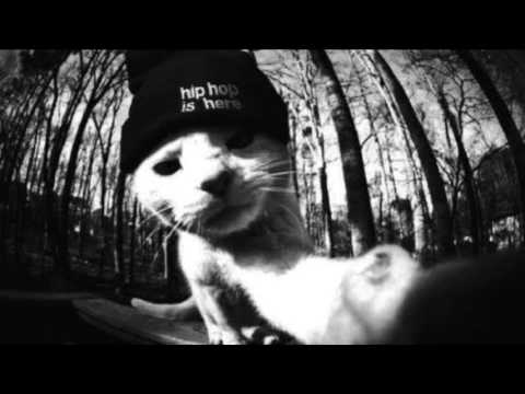 O hip-Hop é Foda (Parte 2)