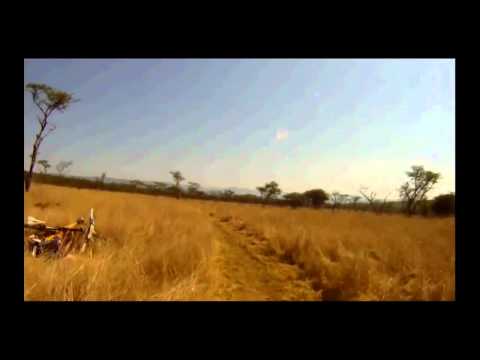 Mountain Biker Gets TAKEN OUT by BUCK INSANE FOOTAGE