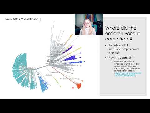SARS CoV 2 Omicron origin and outlook