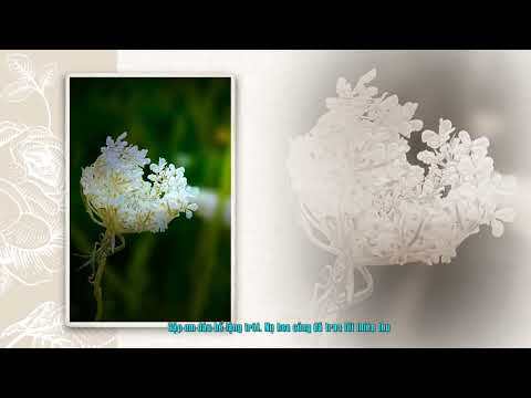 Gặp em vô thường Sheet - Phương Thủy