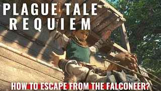 Plague Tale Requiem - Chapter 8 - How to escape from the falconeer?