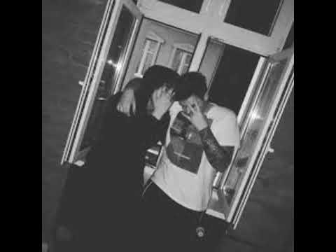 doli x TKM x pit - suka