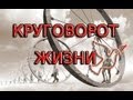 КРУГОВОРОТ ЖИЗНИ 