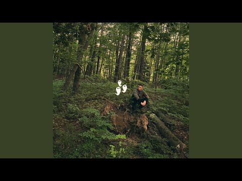 Watching the Stars on the Roof of Your Car