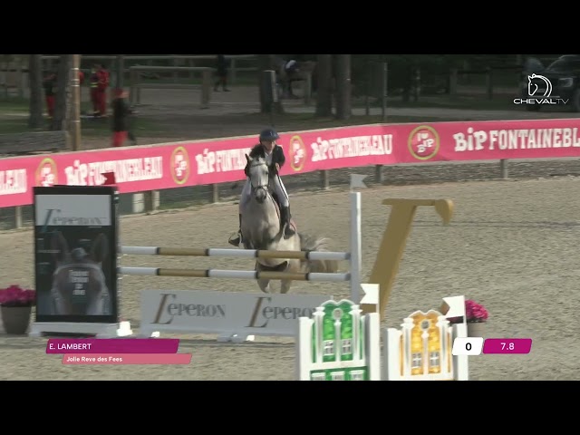 Top Poney de sport pour cso AS2/AS1