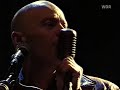 THE THE – DOGS OF LUST (live)