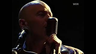THE THE – DOGS OF LUST (live)