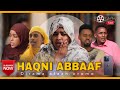 Haqni Abbaaf Diraamaa Afaan Oromoo Buhaarsaa Fi Barsiisaa 2021