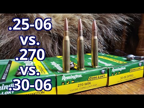 .25-06 rem vs. .270 win vs. .30-06 Spfld Remington Core-lokt Pork and Water Jugs Test